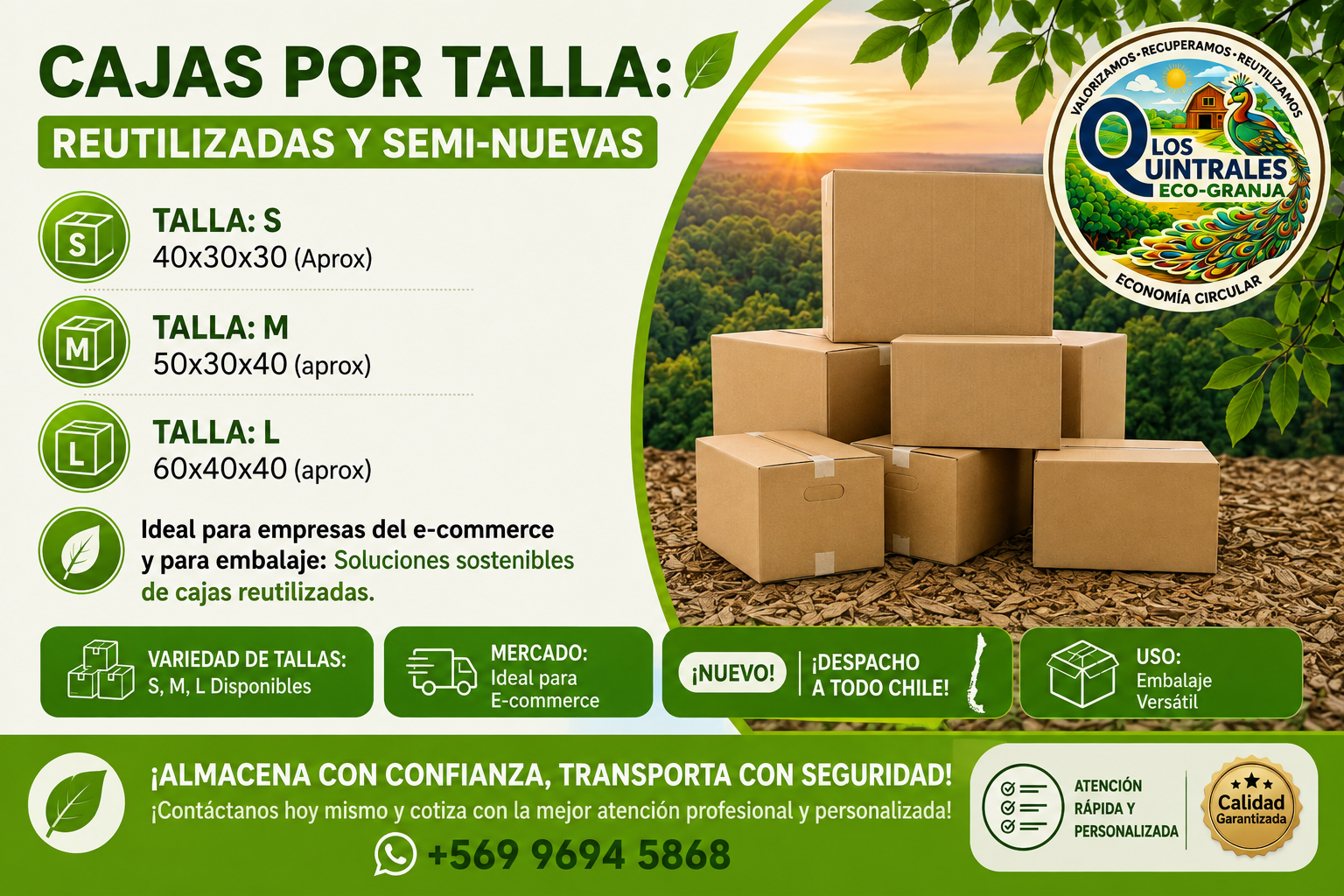 Producto 5