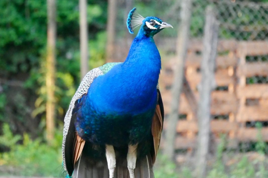 Naturaleza